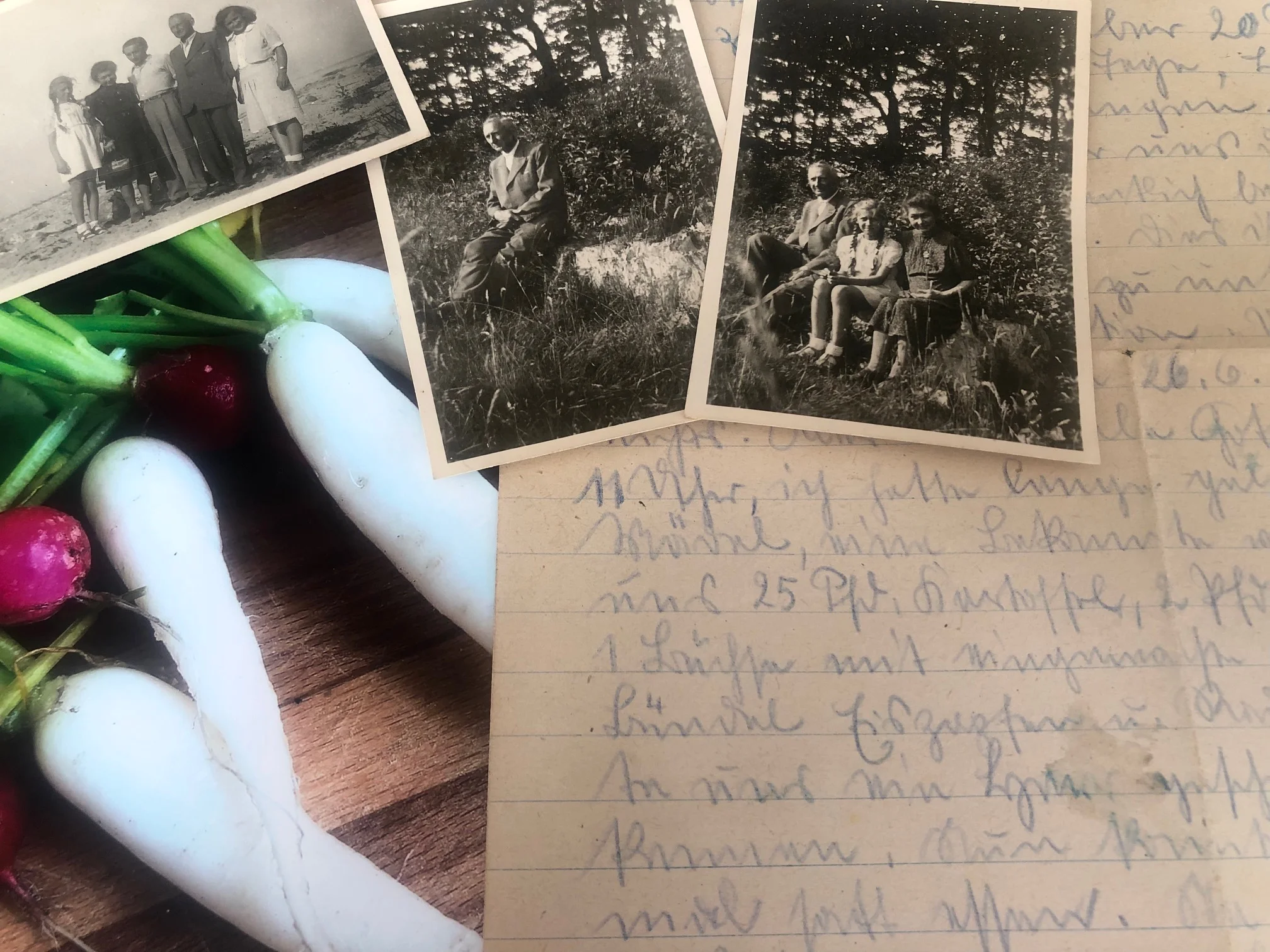 Warum es mir Spaß macht, aus dem Sütterlin zu übersetzen_©Dr. Kirsten Ulrike Maaß