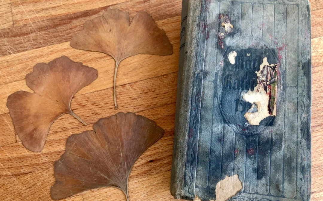 Ein altes Notizbuch: Vom Können und Wollen, Sütterlin zu lesen