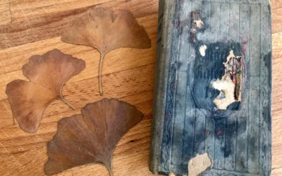 Ein altes Notizbuch: Vom Können und Wollen, Sütterlin zu lesen